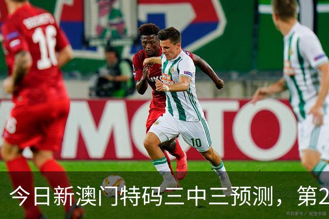 今日新澳门特码三中三预测，第231期平肖平特平码精准资料，新六合彩精准推荐