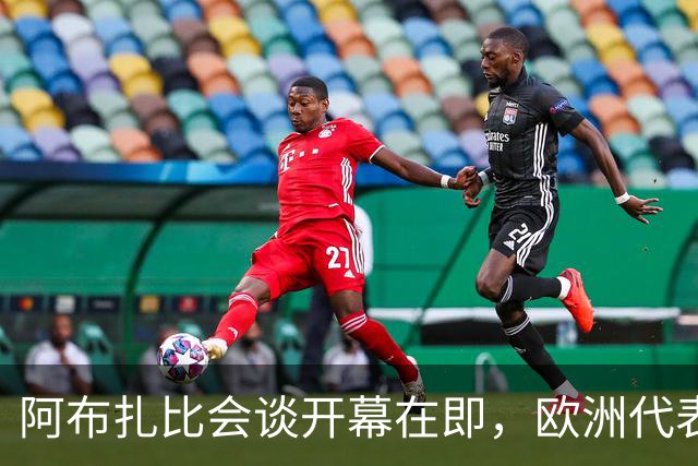 阿布扎比会谈开幕在即，欧洲代表：请自带机票和座位！
